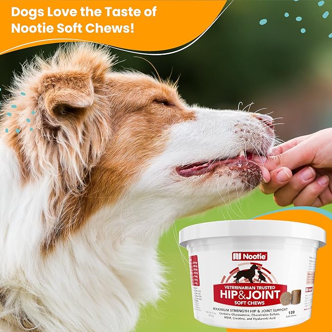 Nootie Maximum Strength Hip & Joint Soft Chews for Dogs - 120 Count