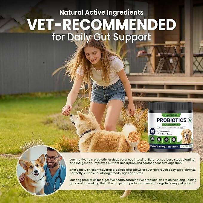 Probiotics for Dogs, Dog Probiotics Chews for Digestive Health &Gut Health