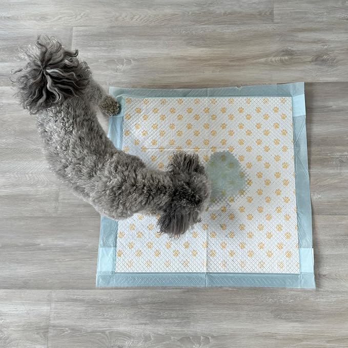 Spot Dr. Bales Early Detection Health Monitoring Pee Pads- Puppy Pee Pads with Color-Changing Paw Prints Indicating Your Dog’S Urine Ph Level, Super Absorbent, Leak Proof, 22in x 22in, 100 Pack