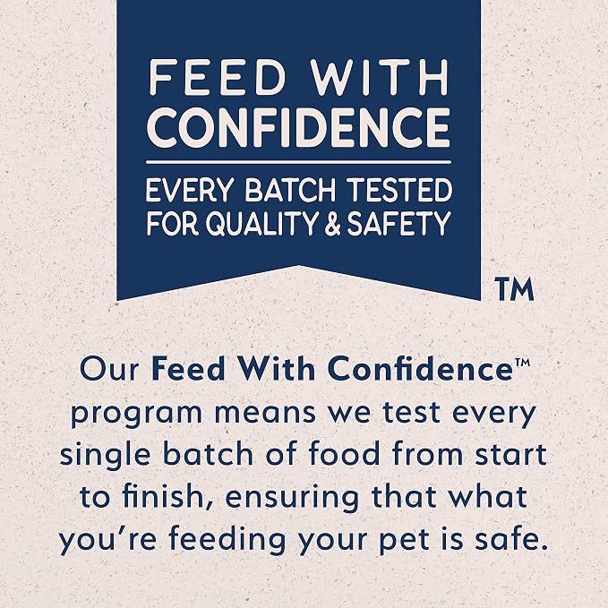 Natural Balance Limited Ingredient Mini-Rewards Salmon Grain-Free Dog Training Treats for Dogs | 5.3 Ounce Canister (Pack of 2)