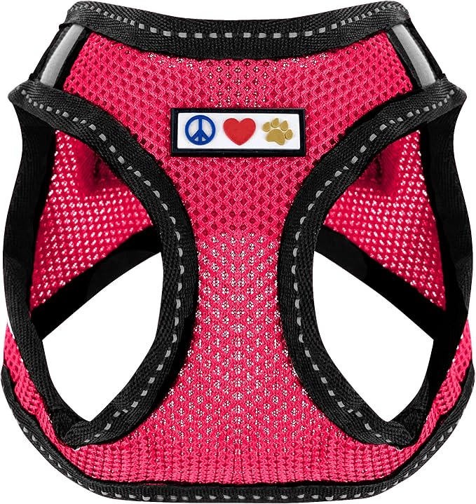 Pawtitas Reflective Mesh Puppy Dog Harness for Extra Extra Small Dogs – Adjustable | No Pull | Fits Neck 8 in Chest 12 in | XXS | Pink