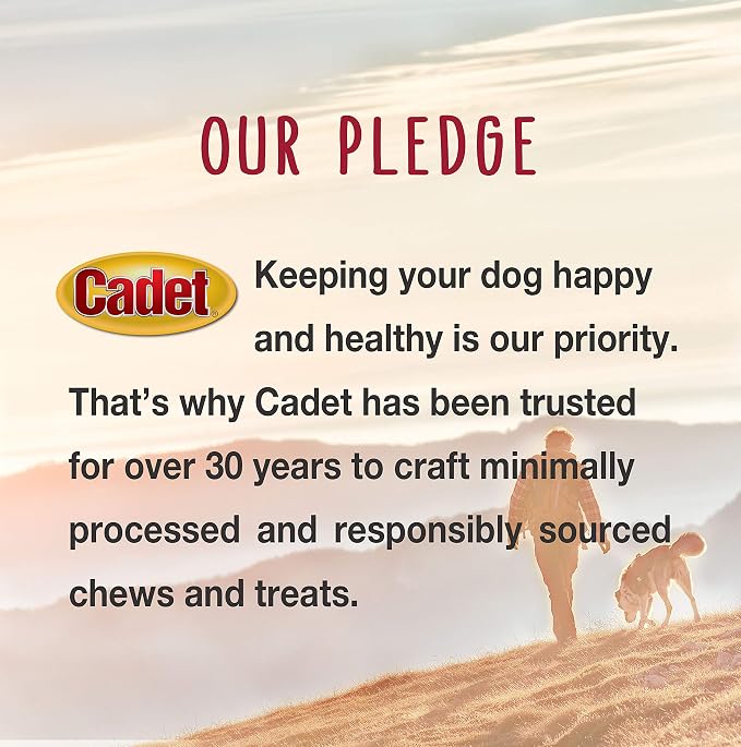 Cadet Stuffed Shin Bone, Long-Lasting Dog Chew Bones for Aggressive Chewers, High Protein Filled Bone Dental Chew for Dogs, Bacon & Cheese Flavor Filling, 5-6" for Large Dogs