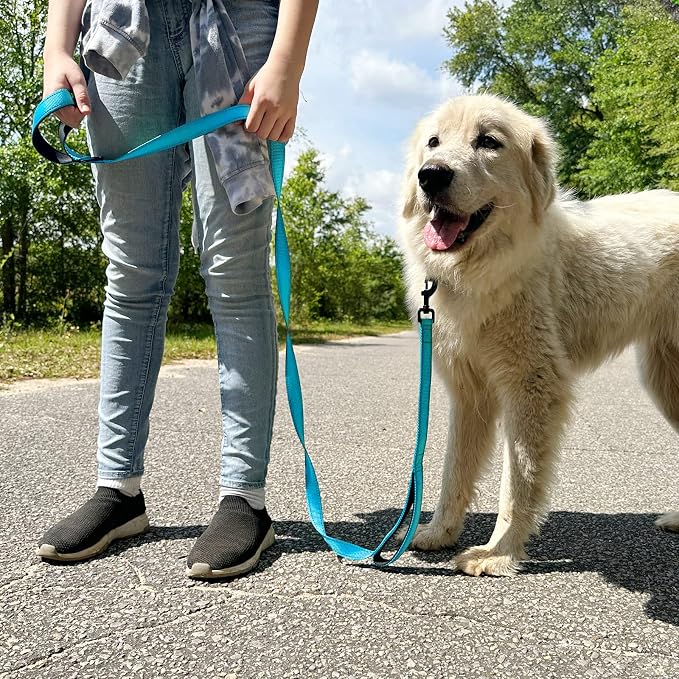 Joytale Dog Leash for Large Dogs that Pull, Double Handle, 5FT, Aqua Blue | Traffic Handle for Control, Padded Handle Reduces Hand Strain, Reflective Stitching for Night Safety, Strong Nylon Webbing