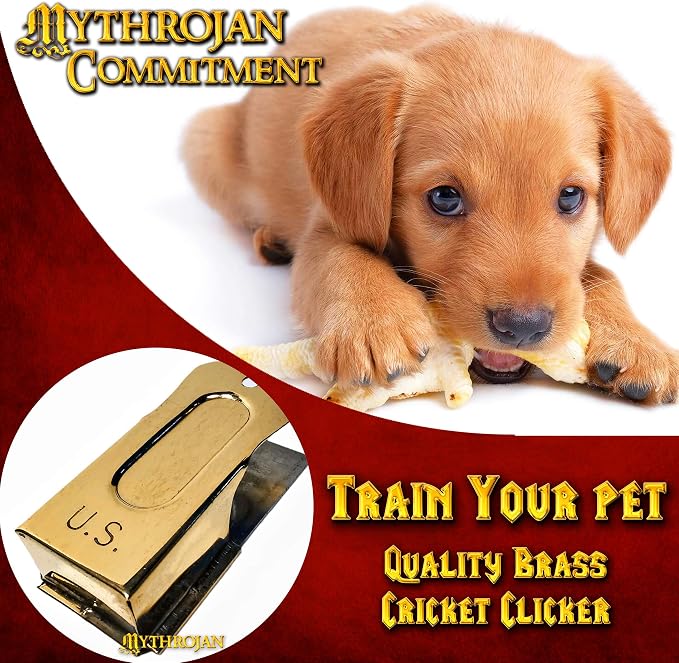 Pet Training Clicker Set, Brass & Steel, Pack of 5