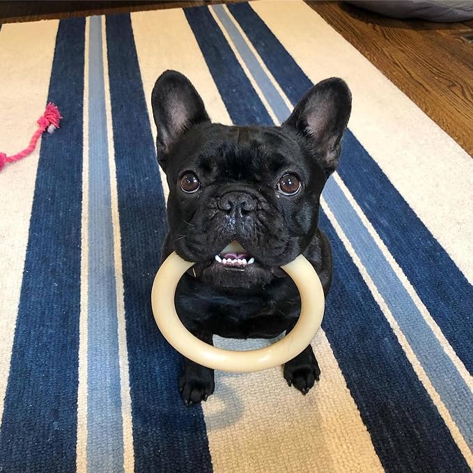 Nylabone Power Chew Ring Dog Chew Toy, Original Flavor, Large | Durable chew toys, long lasting, discourages destructive chewing, flavor throughout, helps clean teeth, for dogs up to 50 lbs