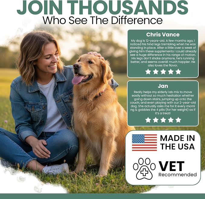 Glucosamine for Dogs Hip and Joint Supplement - 240 Soft Chews for Senior Dogs with Glucosamine, Chondroitin, MSM, Vitamin C, and Omegas - for Mobility, Cartilage, and Joint Health