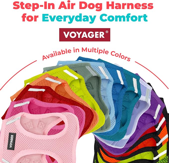 Best Pet Supplies Voyager Step-in Air Harness - All Weather Mesh, Reflective, No Pull Harness for Dogs, Cats - Secure with Hook & Loop Fastener, Buckle, Double D-Rings - Royal Blue, XS