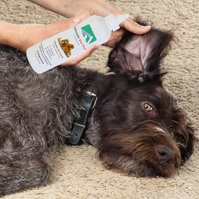 Forticept Dog Ear Infection Treatment & Wash Flush, 8 oz