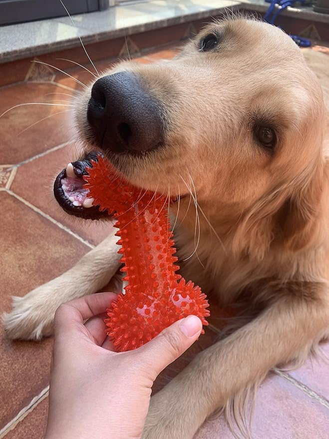 Jalousie Dog Squeaky Toys Value Set Non-Toxic Squeaky Balls Toss Fetch TPR Rubber Puppy Toys Spikey Dog Chew Toy for Small Medium Breed Pet Toys for Puppy (6 Pack Assorted)