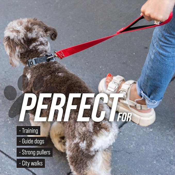 Leash Boss Traffic Handler - Short Dog Leash with Traffic Handle for Large Dogs - Great for Double Dog Couplers, Service Dogs, and Training (12 in, Red)