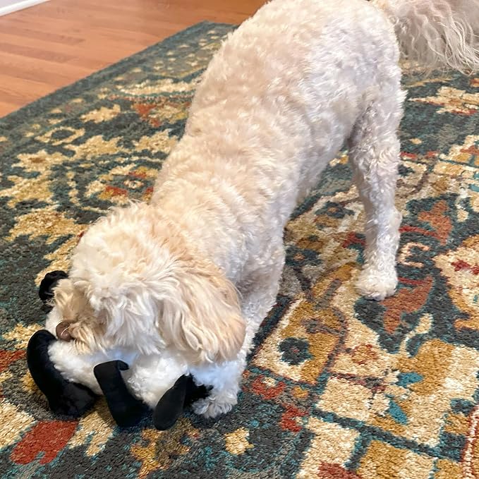 SPOT Baa Baa Black Sheep Plush Dog Toy - Cute and Cuddly Fleece Toy with Squeaker for Medium to Large Dogs and Puppies, 13in Black and White Lamb