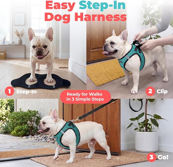 Voyager Step-in Air Dog Vest Harness - Turquoise 2-Tone, Small | 14.5-16" in Chest, Reflective Bands, All Weather Breathable Air Mesh, Cats Compatible, Lightweight, Fast Drying