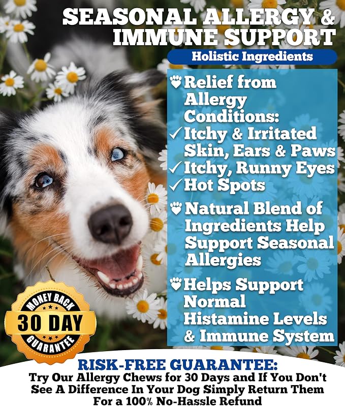 Well Loved Probiotics for Dogs & Well Loved Dog Allergy Chews Bundle, Vet Developed, Made in USA