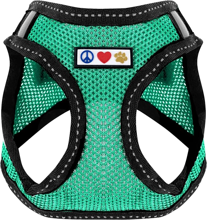Pawtitas Dog Vest Harness Made with Breathable Air Mesh | All Weather Vest Harness for Medium Puppies and Extra Large Cats with Quick-Release Buckle - Medium Teal Mesh Dog Harness