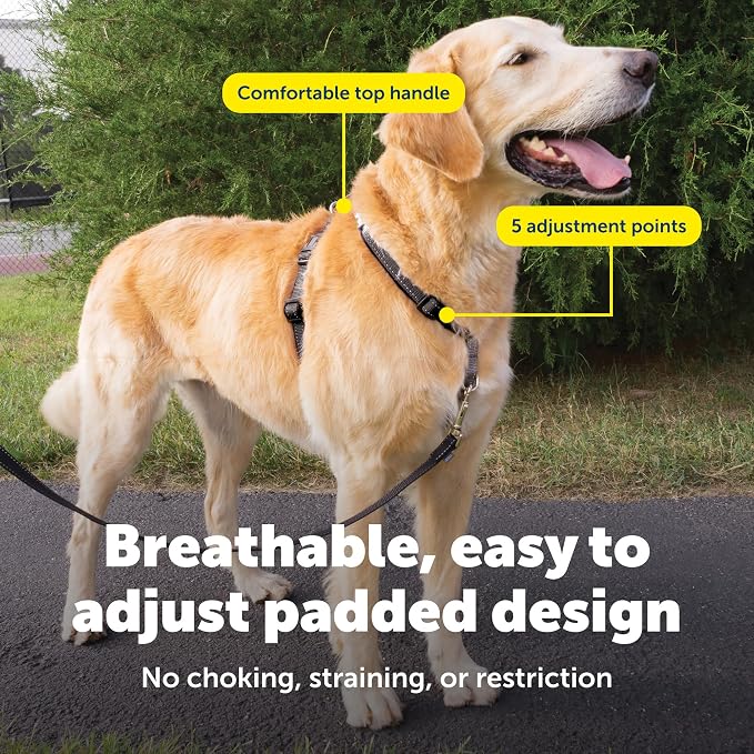 PetSafe 3 in 1 No-Pull Dog Harness - Walk, Train or Travel - Helps Prevent Pets from Pulling on Walks - Seatbelt Loop Doubles as Quick Access Handle - Reflective Accents - Large, Black | Rests on Chest Not Throat to Reduce Pulling, 5 Adjustment Points,...