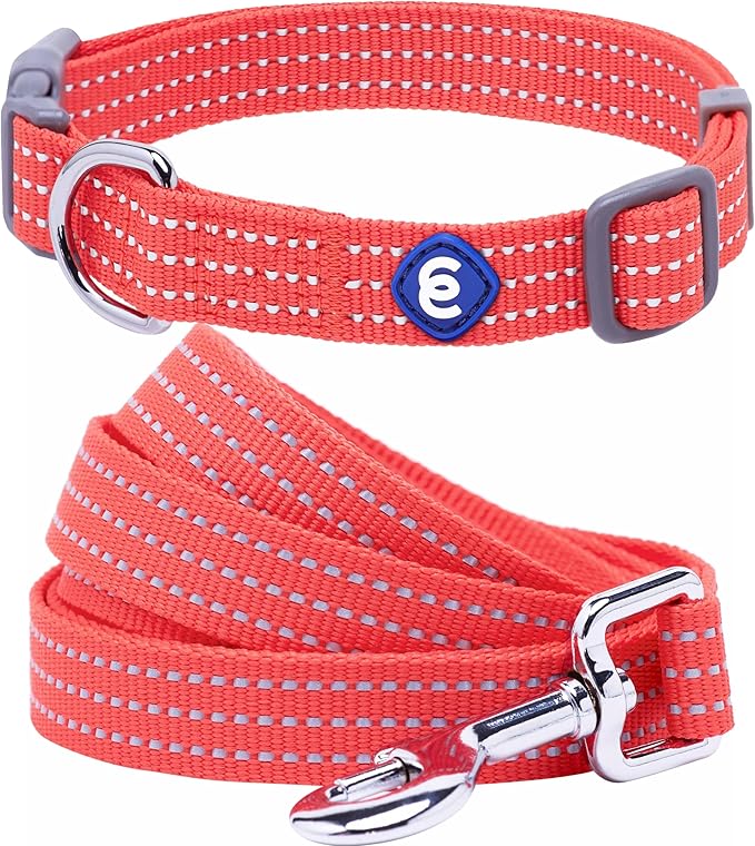 Blueberry Pet Essentials Reflective Better Basics Matching Dog Collar and Leash Set in Fiery Red, Adjustable Collar with 4 ft Leash for Large Dogs