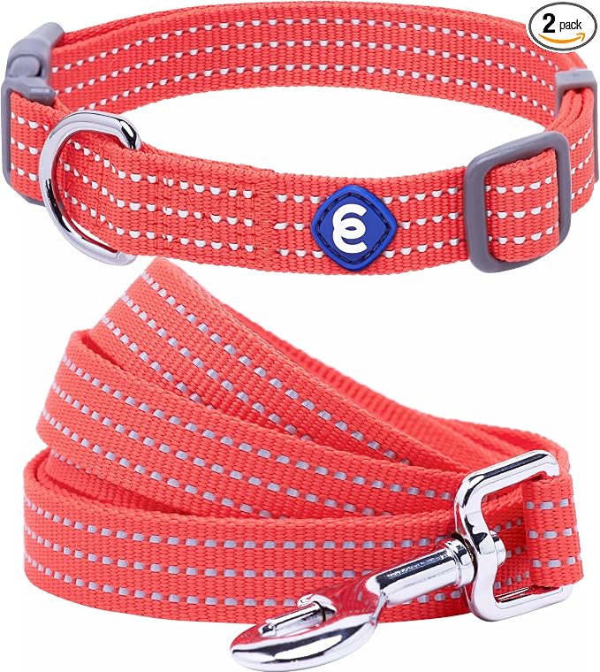Blueberry Pet Essentials Reflective Better Basics Matching Dog Collar and Leash Set in Fiery Red, Adjustable Collar with 5 ft Leash for Small Dogs