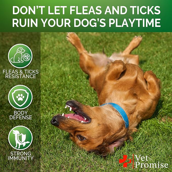 Flea and Tick Prevention for Dogs Chewables - Flea & Tick Control Chews