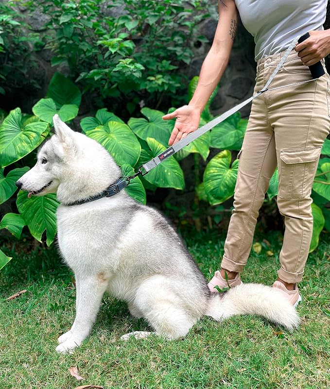 Tuff Pupper Service Leash with Handle - 18 Inch, Gray, Perfect for Service & Large Dog Training, Traffic Handle with Padding