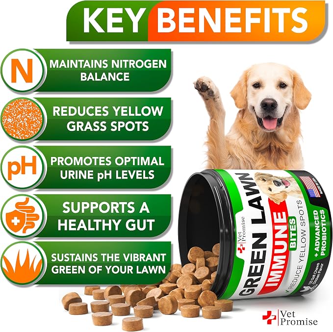 Grass Burn Spot Chews - Dog Urine Neutralizer for Lawn - Grass Green, Rocks