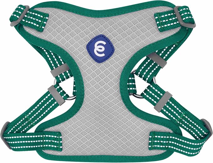 Blueberry Pet Essentials Back to Basics Reflective Dog Harness Vest, Dark Green, Small, Adjustable Harnesses for Dogs