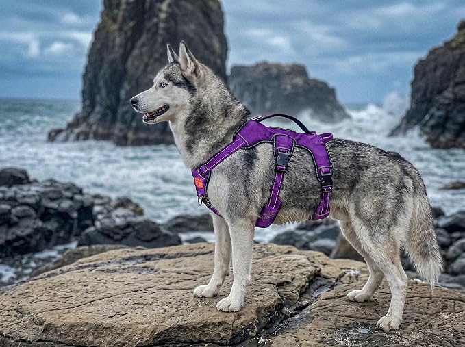 Tuff Pupper Escape Proof No Escape Dog Harness | 5 Point Adjustable Fit Harness for Dogs | Padded Dog Harnesses | Handle Dog Lift Harnesses
