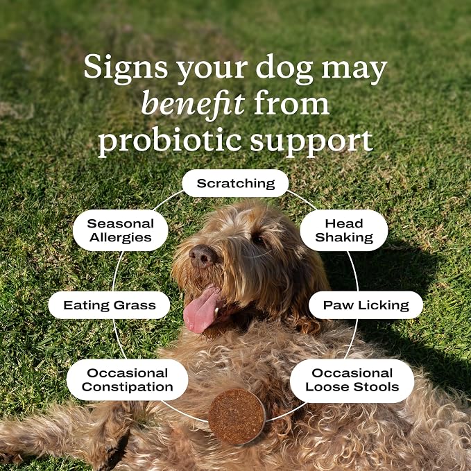 PetLab Co. Probiotic Chews for Dogs - Tailored, Large