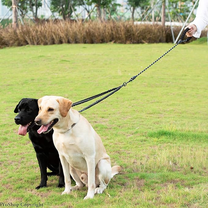 iYoShop Double Dog Leash, 360° Swivel, No Tangle, Large, 25-150 lbs, Black | Dual Leash for Two Dogs, Split Leash, Shock-Absorbing Bungee, Padded Handle, Heavy-Duty Rope
