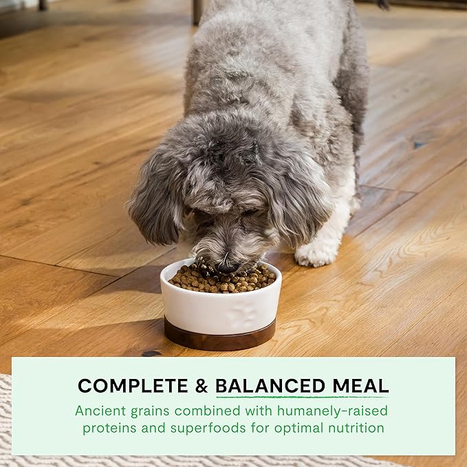 Open Farm Ancient Grains Dry Dog Food, Small Breed Kibble, 4lb Bag