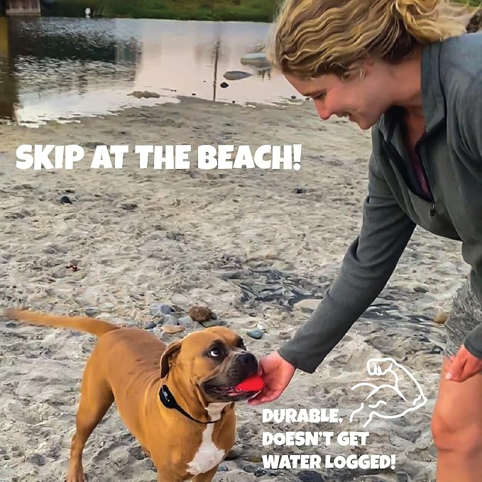 Skip NN' Fetch Large Floating Dog Toys Qty 2 | Stone Skipping Meets Fetch | Fun for Swimming Pool, Lake, Beach, and Land | Perfect Floating Water Toys for Large Dogs