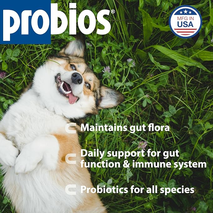 Probios Digestive Support Powder for Pets, 240 g, 2-Pack