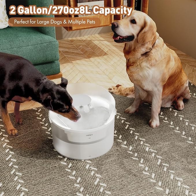 NPET Dog Water Fountain,270oz/2Gallon/8L Anti Splash Automatic Pet Drinking Fountain Super Quiet Water Feeder with Replacement Filters Easy to Clean(semi-White)