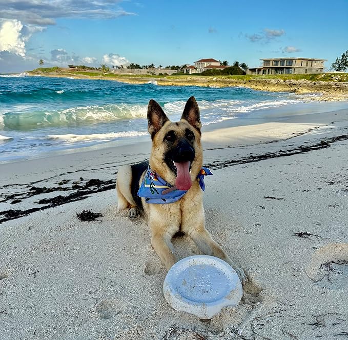 Frisbee, Floating Foam Disc, Medium & Large Dogs, 8.5in, Yellow