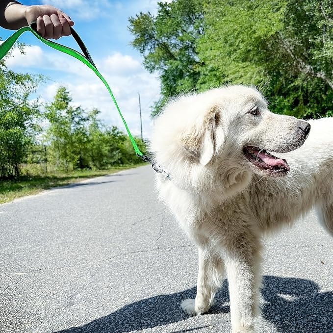 Joytale Dog Leash for Large Dogs that Pull, Double Handle, 6FT, Green | Traffic Handle for Control, Padded Handle Reduces Hand Strain, Reflective Stitching for Night Safety, Strong Nylon Webbing