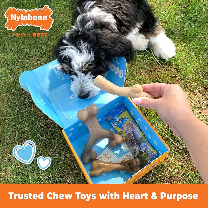 Nylabone Puppy Gift Box, Strong Chew Toys & Treat, Small, 4 Count | Flavor variety, 3 puppy toys & 1 natural treat dog bone, gifts for puppies, teething toys for small puppies up to 25 lbs