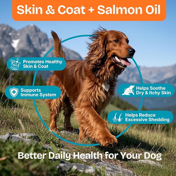 Skin & Coat + Salmon Oil Supplement for Dogs – Norwegian Salmon Oil with Omega 3, Biotin & Zinc per Serving – Supports Healthy Skin & a Soft, Shiny Coat – 120 Soft Chews