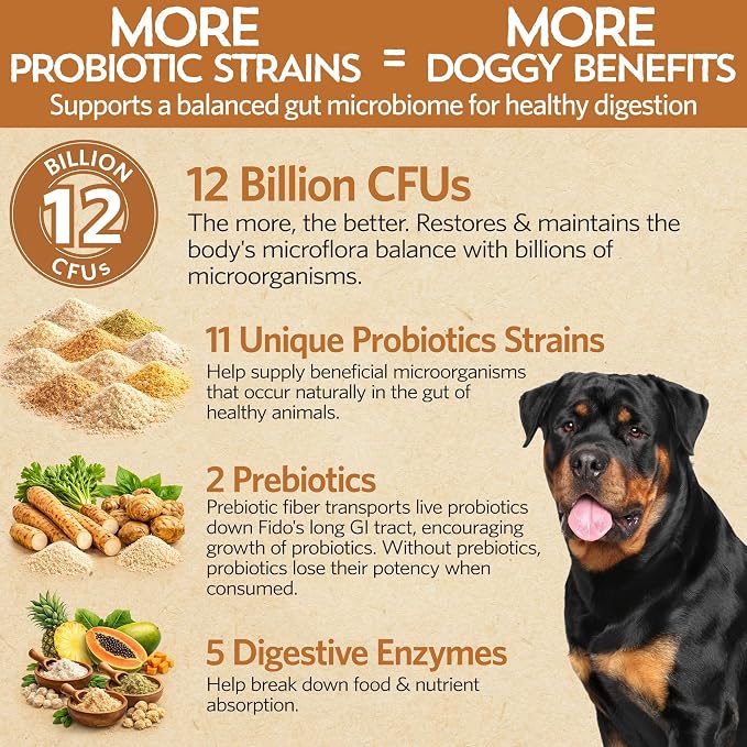 Fidobiotics Good Guts Probiotics for Large Dogs, Pack of 2