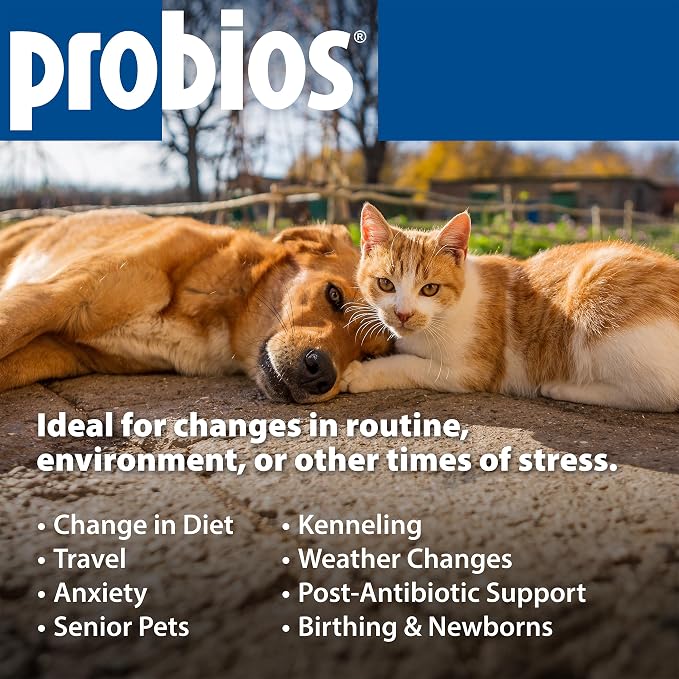 Probios Digestive Support Dog Chewables, 1 lb
