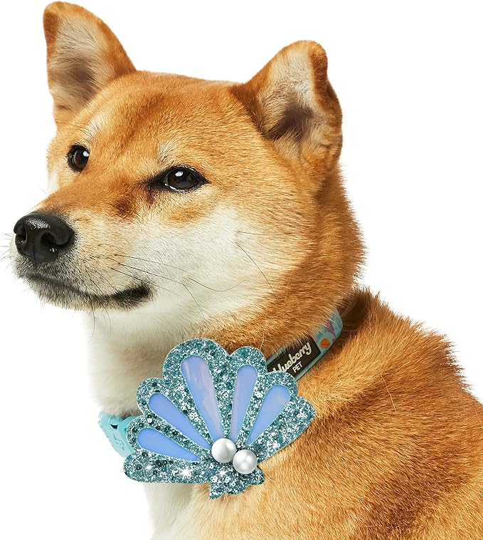Blueberry Pet Summer Sparkle Dog Collar, Adjustable Large Size, Neck 18"-26", Turquoise, Ocean Fish and Seahorse Print Nautical Pet Collar with Detachable Seashells Accessory