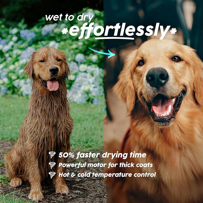 CYCLONE v4® Professional HIGH POWER Velocity Force Dog Hair Blow Dryer for Pet Grooming | Quiet Motor with Adjustable Heat and Speed | 4 Drying Attachments Included