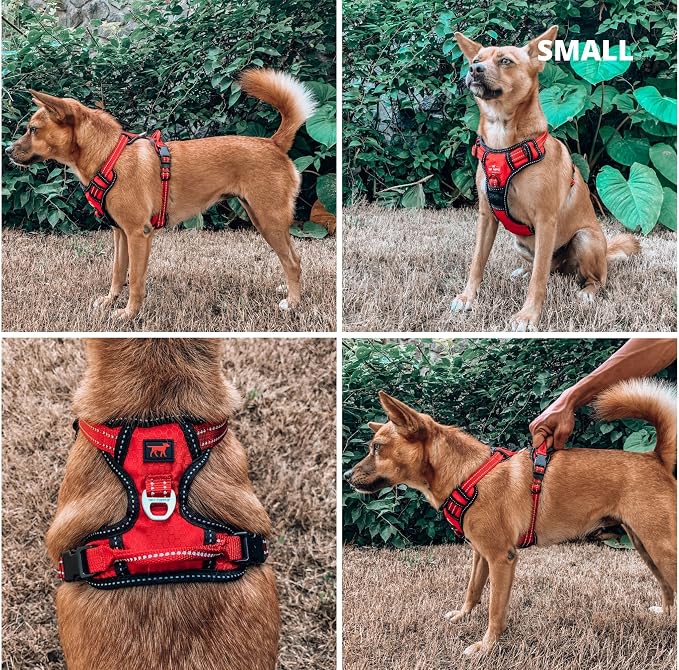 Tuff Pupper No Pull Easy Walk Dog Harness | Heavy Duty Pet Vest | Front & Back Leash Clips | Strong Safety Handle | Reflective Anti Pull Vest | Comfortable Padded Escape Proof Harness (Small, Red)