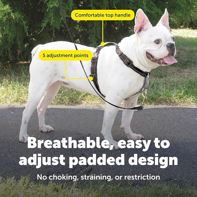 PetSafe 3 in 1 No-Pull Dog Harness - Walk, Train or Travel - Helps Prevent Pets from Pulling on Walks - Seatbelt Loop Doubles as Quick Access Handle - Reflective Accents - Small, Black | Rests on Chest Not Throat to Reduce Pulling, 5 Adjustment Points,...