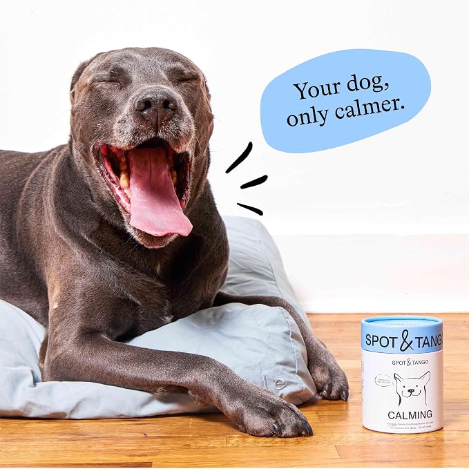 Spot & Tango Calming Supplements for Dogs, L-Theanine, Chamomile, 56-Pack, 56 Count