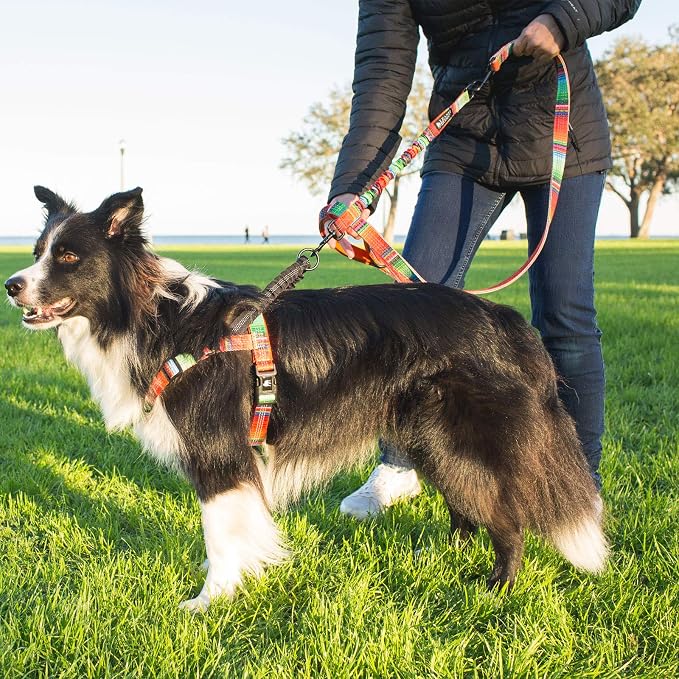 Leash Boss Pattern Bungee Dog Leash Extension, 18" Shock Absorbing Lead Extender, Pattern Collection - Large Dog Leash Attachment and Shock Absorber (Blanket Pattern)