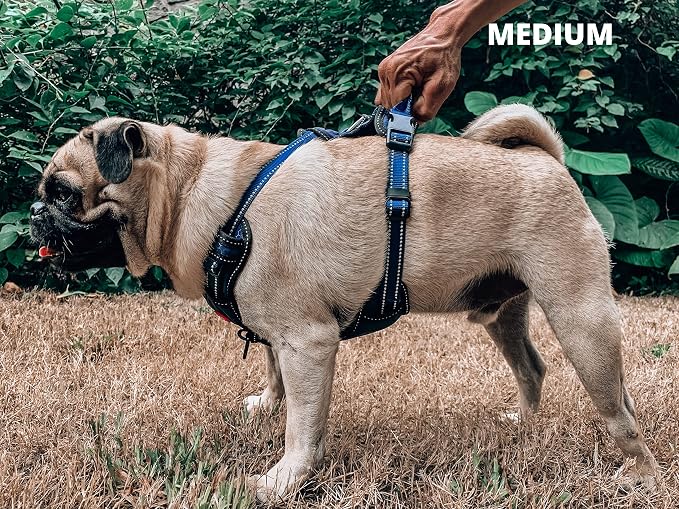 Tuff Pupper No Pull Easy Walk Dog Harness | Heavy Duty Pet Vest | Front & Back Leash Clips | Strong Safety Handle | Reflective Anti Pull Vest | Comfortable Padded Escape Proof Harness (Medium, Blue)