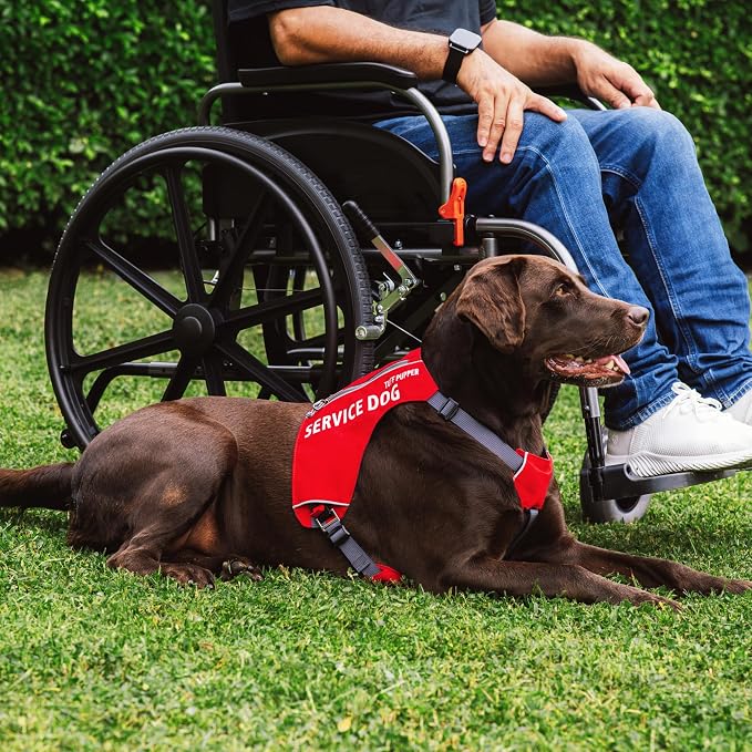 Tuff Pupper Service Dog Vest with ID Pocket | No Leash Attachment | Quick-Release Magnetic Buckles | Reflective Trim | Adjustable Fit | Comfortable & Durable | Designed for Small Dogs (Red, Large)