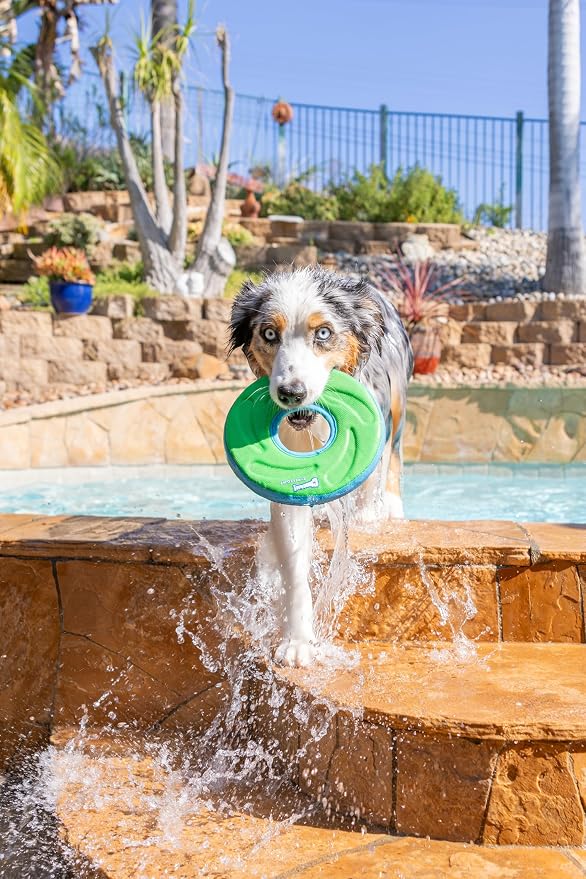 Chuckit! Amphibious ZipFlight Floating & Flying Disc Dog Toy, Medium, 8.5in, Assorted Colors