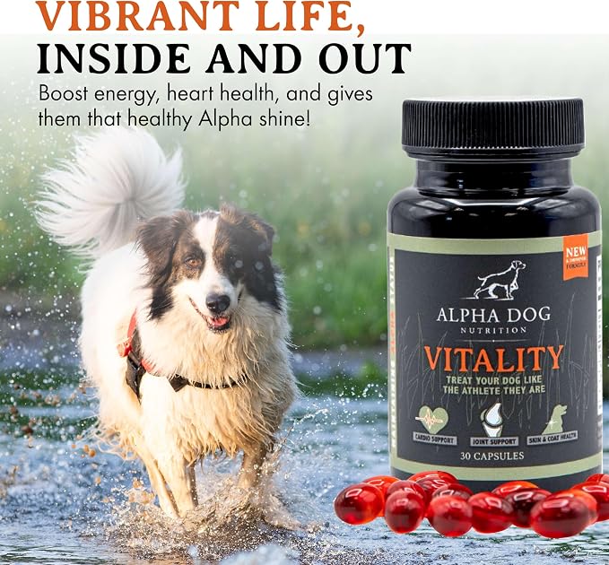 Krill Oil for Dogs - Vitality by Alpha Dog Nutrition – Reduces Dog Allergies, Itchiness, & Shedding – Promotes Healthy Skin and Coat