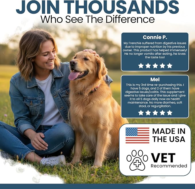 Pre and Probiotics for Dogs with Digestive Enzymes, 240 Soft Chews