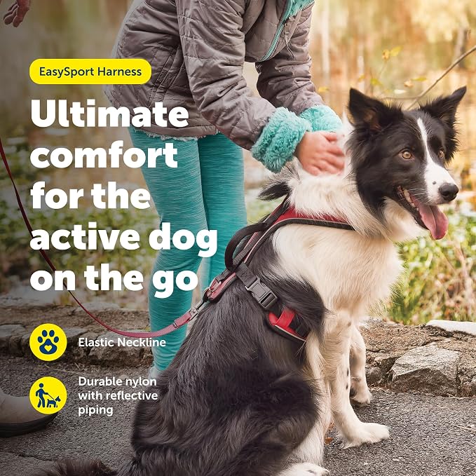 PetSafe EasySport Dog Harness, Adjustable Padded Dog Harness with Control Handle and Reflective Piping, From the Makers of the Easy Walk Harness, Red | Padded, Elastic Neckline Harness for Active Dogs, Reflective Piping for Visibility, Top Control Hand...